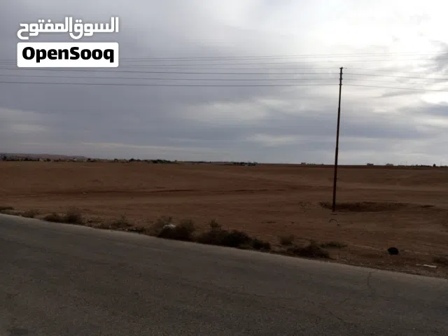 Farm Land for Sale in Madaba Other