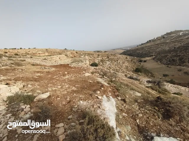 ارض للبيع.