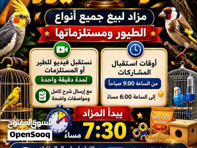 بيع جميع انواع الطيور ومستلزماتها