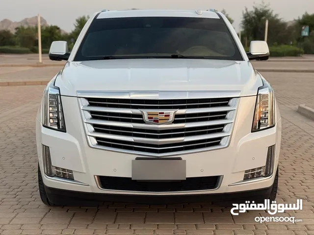 Used Cadillac Escalade in Al Ain