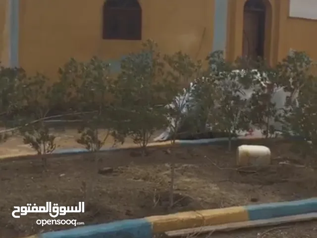 مصنع جبس ذو علامة تجارية معروفة في الأسواق المصرية