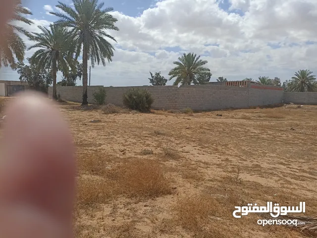 أرض سكنية للبيع فى طمينة