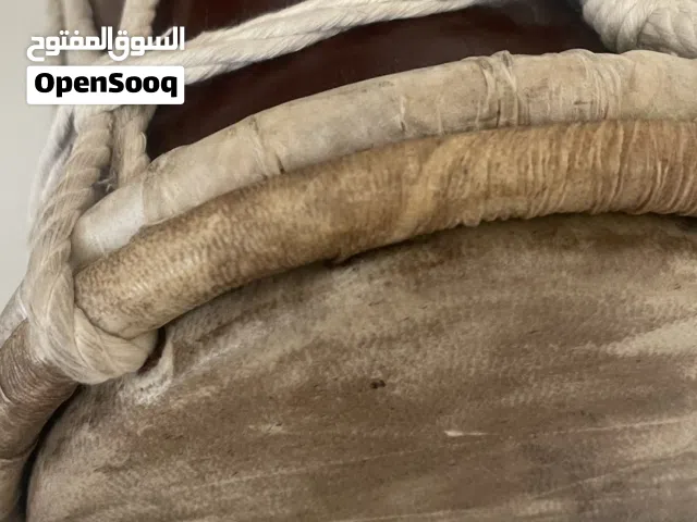 للببع  طبل كاسر صغير وكاسر كبير السعر 55 ريال