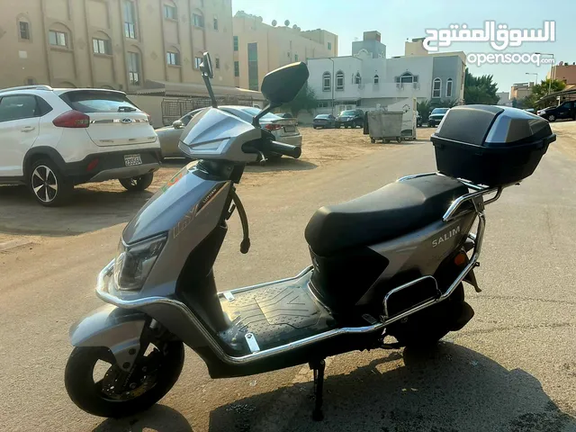 Salim electric bike