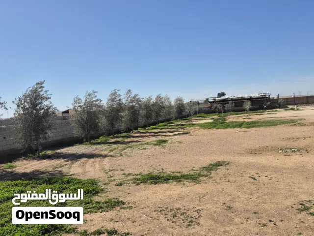 Mixed Use Land for Sale in Mafraq Al-Khalidya