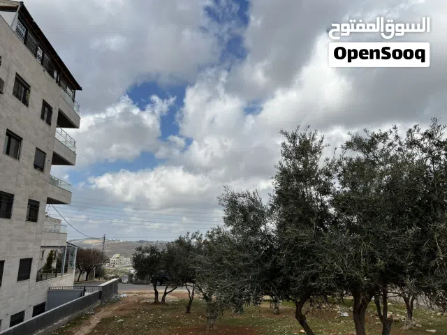 Residential Land for Sale in Amman Shafa Badran