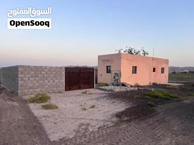 فرصة استثمارية – مزرعة للبيع في الداخلية النباغ