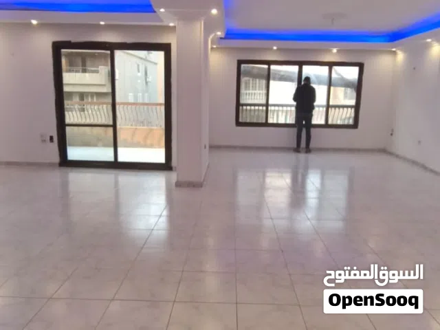 250 m2 3 Bedrooms Apartments for Rent in Cairo Nasr City