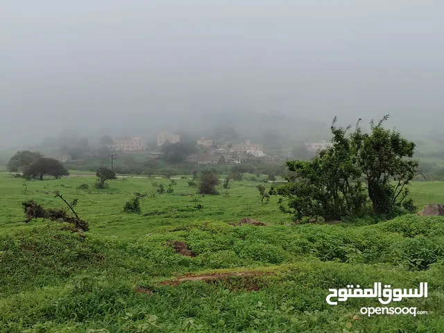 مطلوب ارض في عدونب