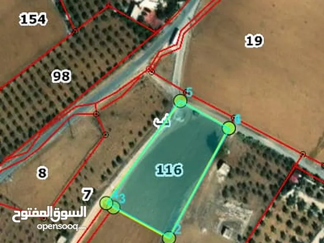 Farm Land for Sale in Madaba lob