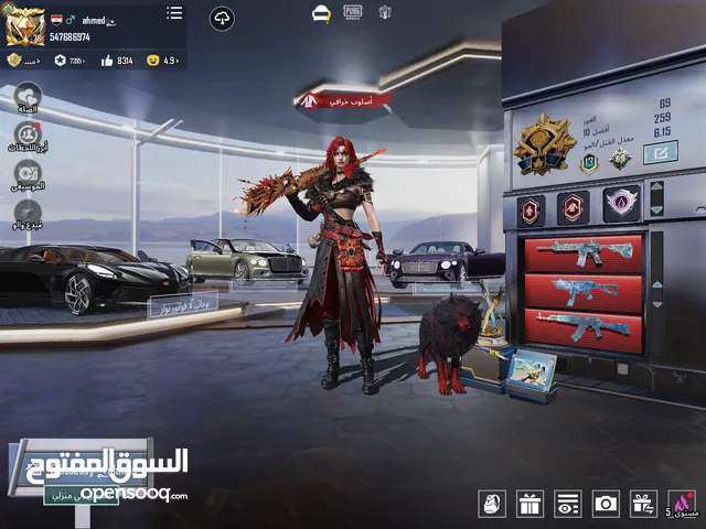 Pubg Accounts and Characters for Sale in Amman