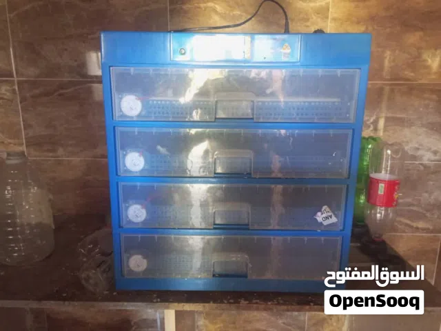 حضانة صينية