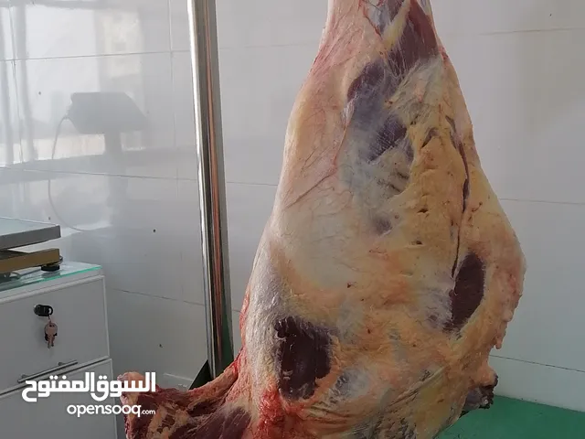 بيع اللحوم والدواجن الطازجة والمبردة والمجمده Selling fresh, chilled and frozen meat and poultry