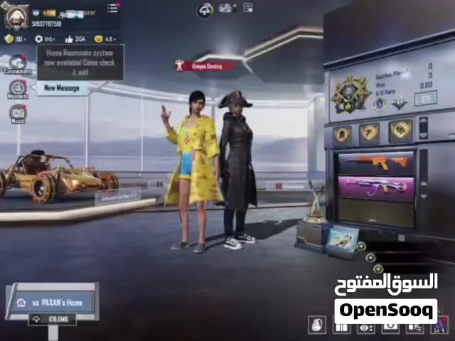 PUBG ACCOUNT FOR SALE ERGENT 16 BHD ONLY