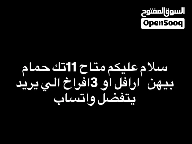 سلام عليكم متاح 11تك حمام و 3افراخ الزوج ب10وبيهن مجال