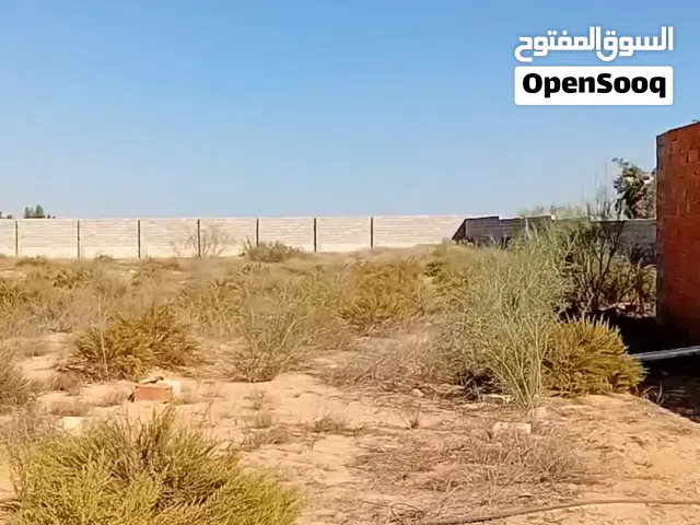 Farm Land for Sale in Tripoli Wadi Al-Rabi