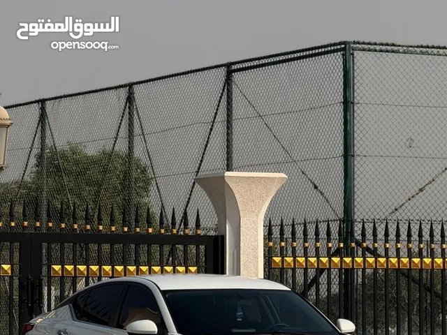 التيما 2020 محول 2025 ابيض قمة النظافة