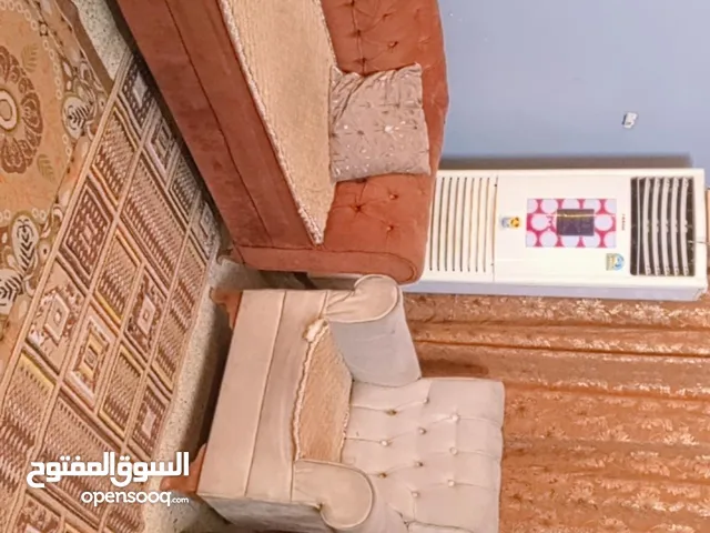 تخم ضخم للبيع