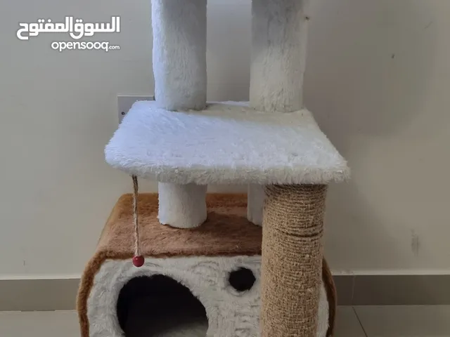 للبيع عدد من مستلزمات القطط