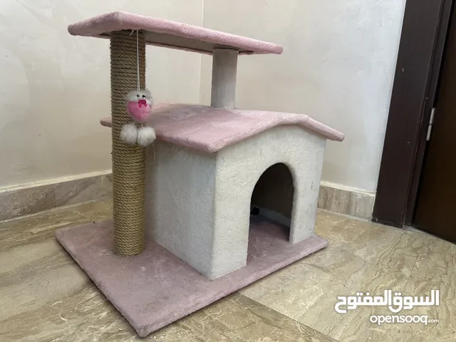 منزل قطه للبيع غير مستخدم للبيع للبيع للبيع للبيع للبيع للبيع للبيع للبيع للبيع للبيع للبيع
