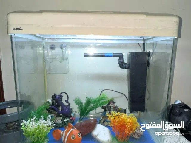 أحواض سمك للبيع مع اغراضهم