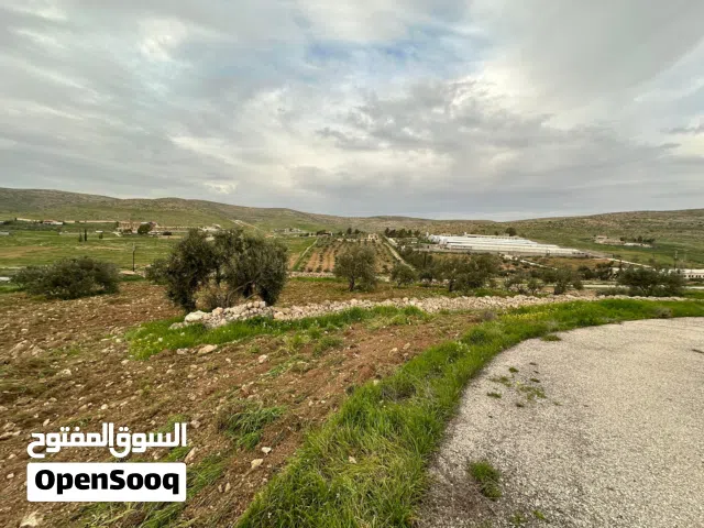 Farm Land for Sale in Mafraq Other