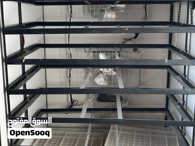 فقاسه للبيع