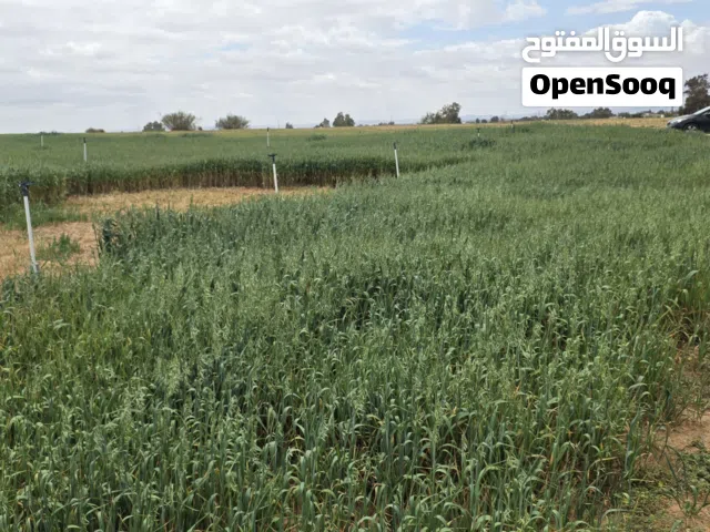 Mixed Use Land for Sale in Tripoli Tajura