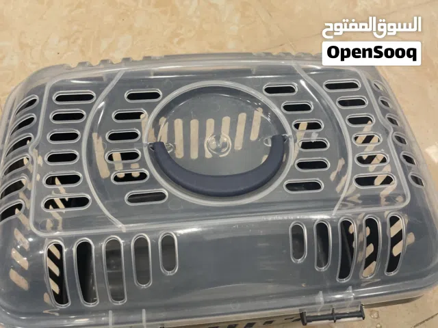 سله قطط (استعمال بسيط)