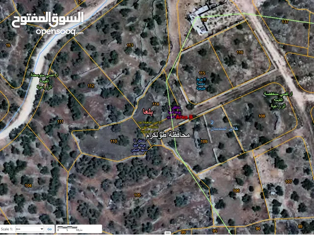 ممدوح ابو ريان