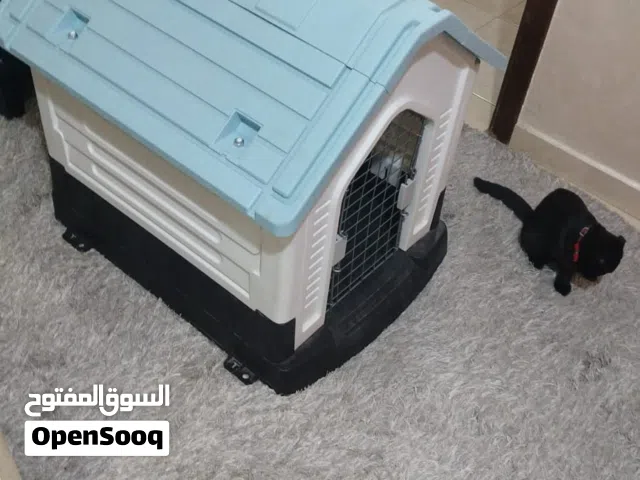 بيت للكلاب والقطط بحالة الوكالة للبيع