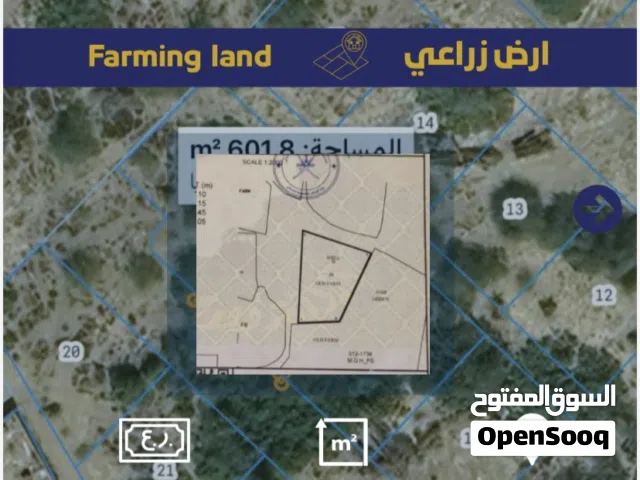 Farm Land for Sale in Al Batinah Barka