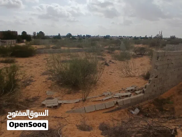 Farm Land for Sale in Tripoli Wadi Al-Rabi