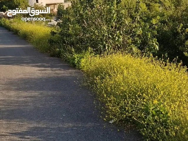 ارض للبيع اخر بيرزيت اول برهام للبيناء