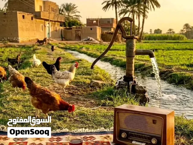 Mixed Use Land for Sale in Fayoum New Fayoum