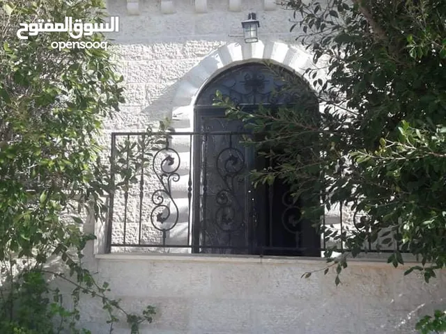 سليم علي سليم