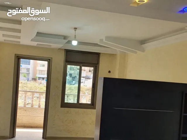 شقة الطيرة