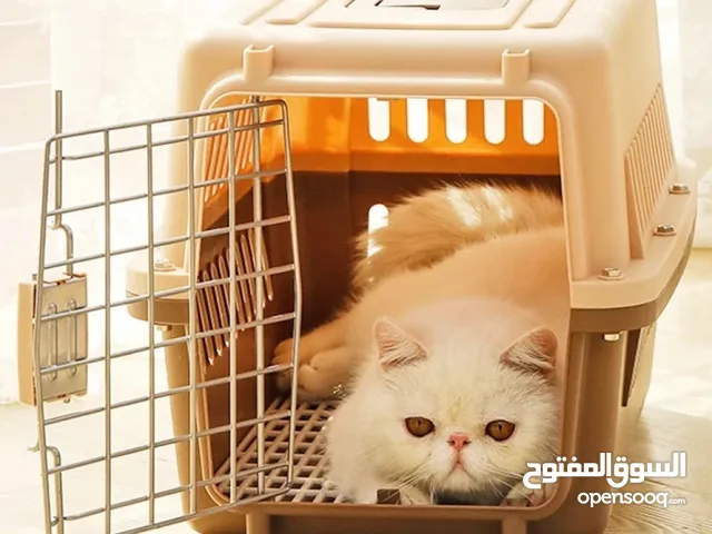 قفص قطط متنقل