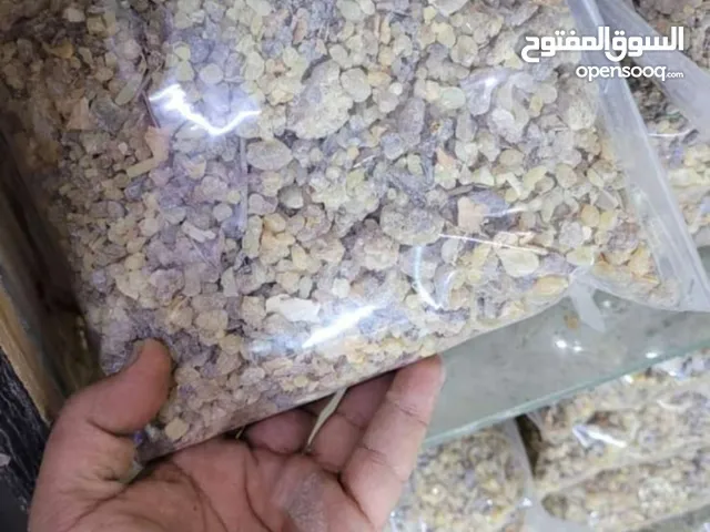 صدمه وعرض ما يتفوت أبدا لبان الحوجري كيلو و بإضافه إلى غرشه لبان معطر حجم كبير غرشه صفراء فقط 5 ريال