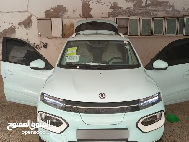 New Dongfeng EX1 in Amman
