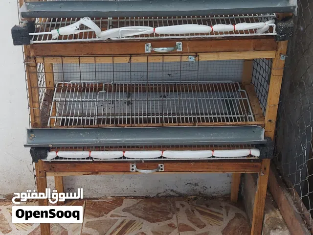 قفص فري طابقين بسعر حرق