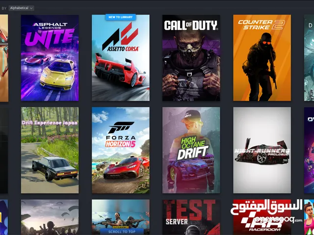 Steam Accounts and Characters for Sale in Amman