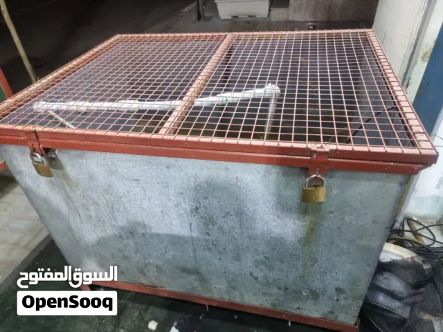 احواض اسماك واحد بليت طوله مترو20ورتفاع متر مع قطاس وثاني حوض جام كامل لمواصفات