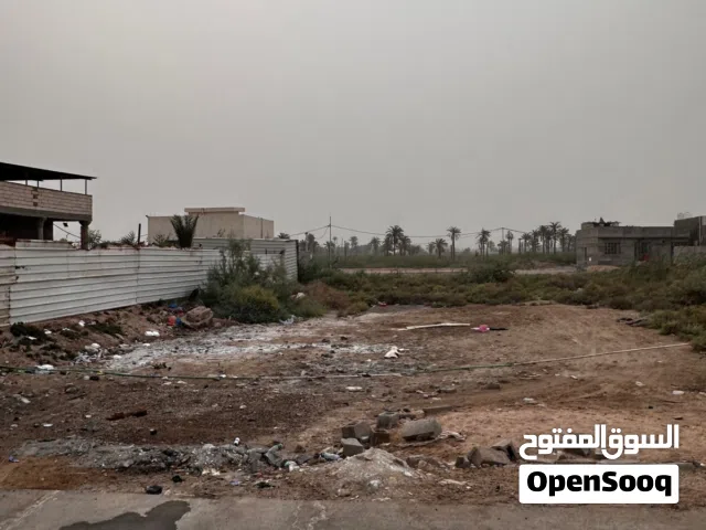 Farm Land for Sale in Basra Tannumah