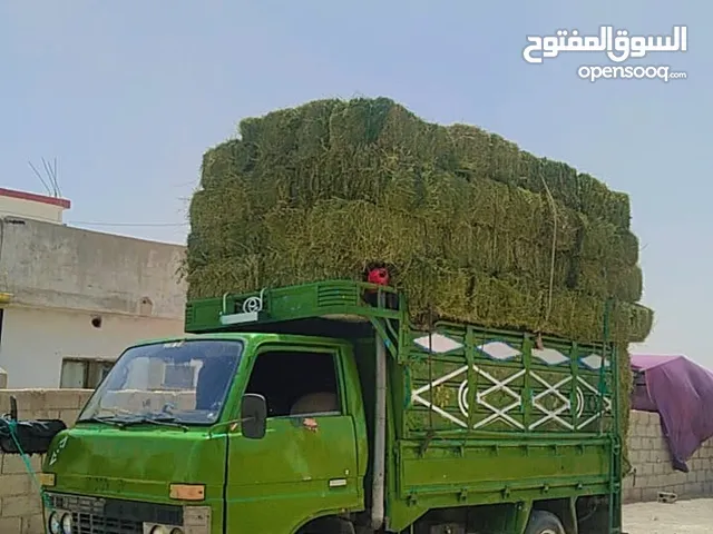 برسيم نضيف سلك