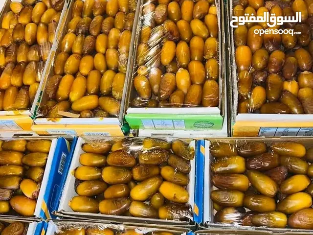 تمر باكوات دقلة