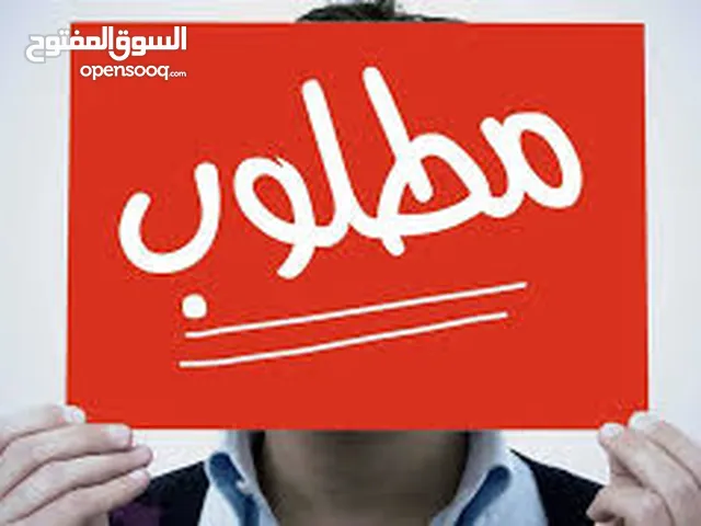 مطلوب شقة صغيرة مفروشة للإيجار