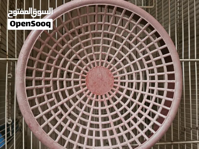 pigeon breeding bowl for sale