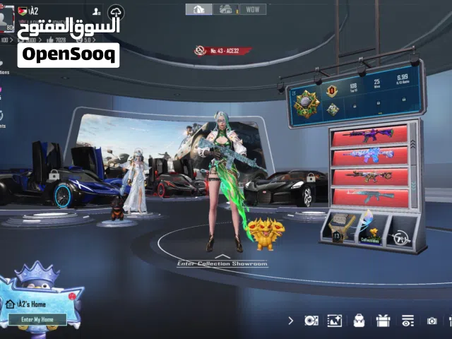 Pubg Accounts and Characters for Sale in Amman
