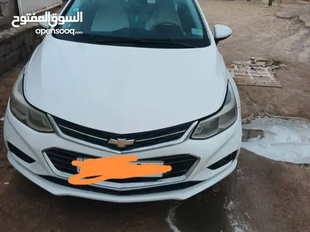شفر كروز 2019